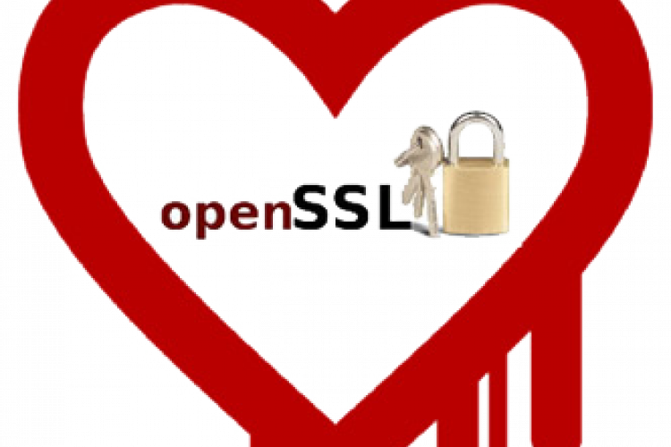 آسیب‌پذیری Heartbleed