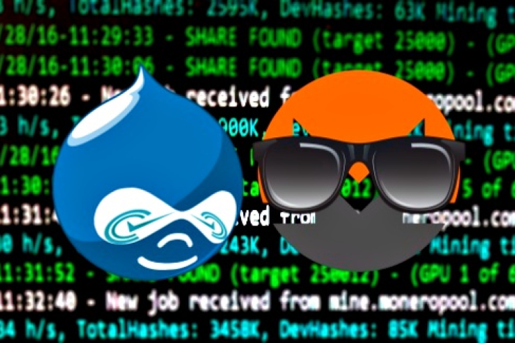 بهره‌برداری هکرها از اکسپلویت آسیب‌پذیری Drupal